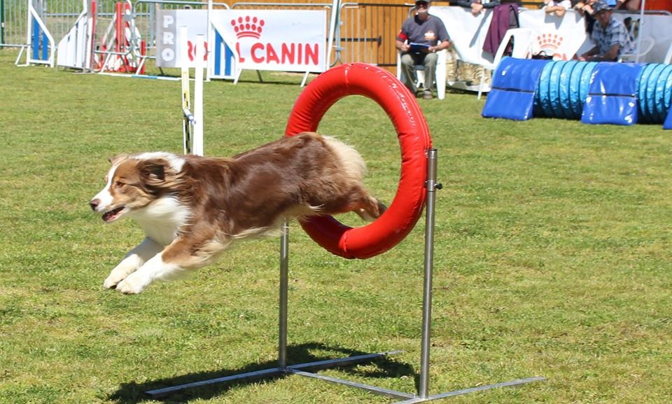 Agility