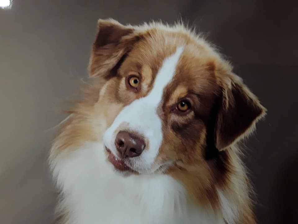 Beauté